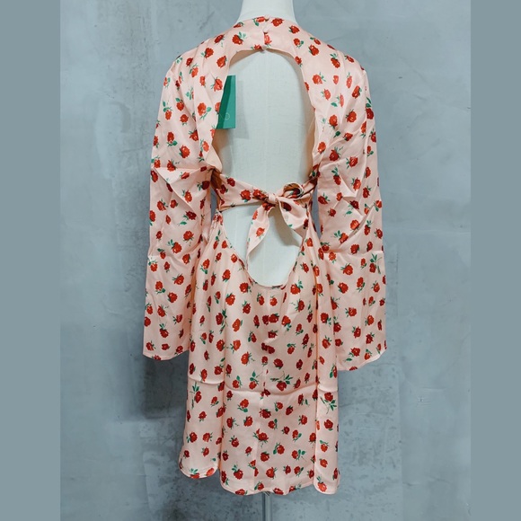 RIXO SOPHIE VINTAGE ROSE NUDE RED Mini Dress
Sz L - Picture 4 of 7